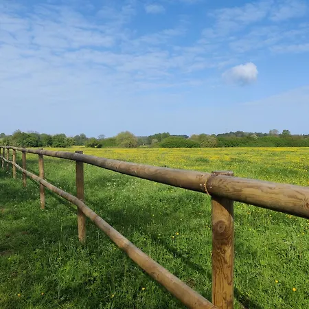 La De Lulu Homestay szállás *